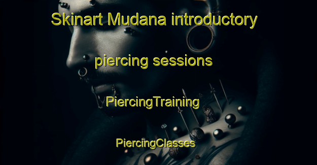 Skinart Mudana introductory piercing sessions | PiercingTraining | PiercingClasses | SkinartTraining-Argentina