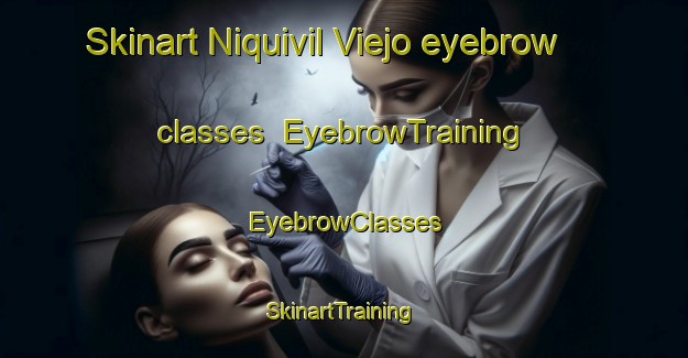 Skinart Niquivil Viejo eyebrow classes | EyebrowTraining | EyebrowClasses | SkinartTraining-Argentina