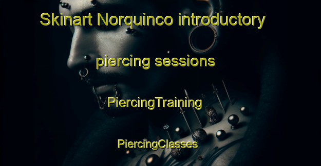 Skinart Norquinco introductory piercing sessions | PiercingTraining | PiercingClasses | SkinartTraining-Argentina