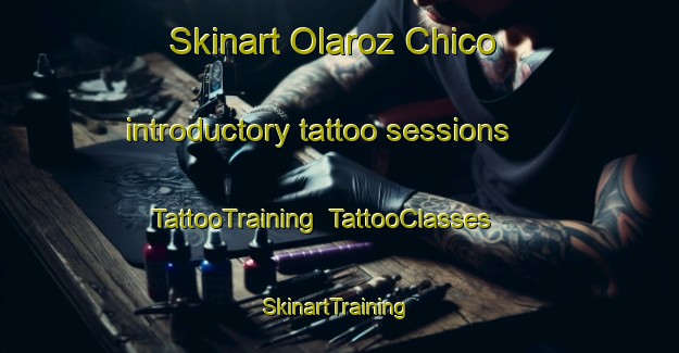 Skinart Olaroz Chico introductory tattoo sessions | TattooTraining | TattooClasses | SkinartTraining-Argentina