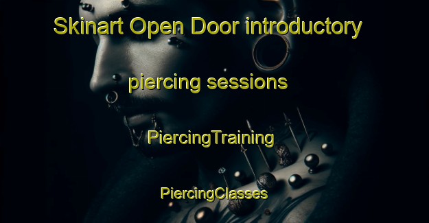 Skinart Open Door introductory piercing sessions | #PiercingTraining #PiercingClasses #SkinartTraining-Argentina