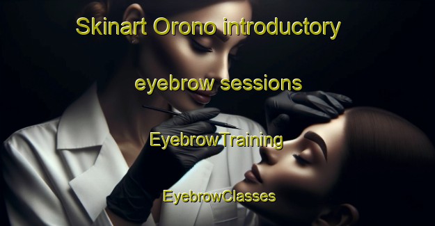 Skinart Orono introductory eyebrow sessions | EyebrowTraining | EyebrowClasses | SkinartTraining-Argentina