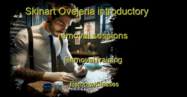 Skinart Ovejeria introductory removal sessions | RemovalTraining | RemovalClasses | SkinartTraining-Argentina