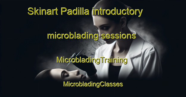 Skinart Padilla introductory microblading sessions | #MicrobladingTraining #MicrobladingClasses #SkinartTraining-Argentina