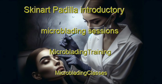 Skinart Padilla introductory microblading sessions | #MicrobladingTraining #MicrobladingClasses #SkinartTraining-Argentina