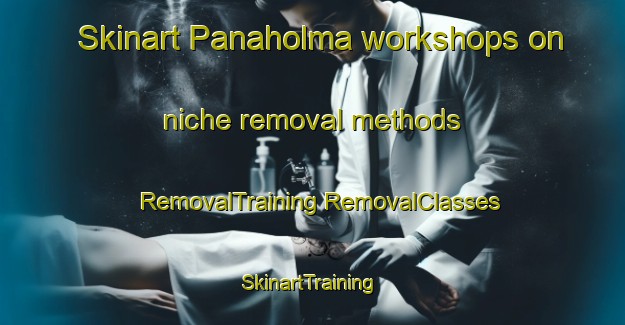 Skinart Panaholma workshops on niche removal methods | #RemovalTraining #RemovalClasses #SkinartTraining-Argentina