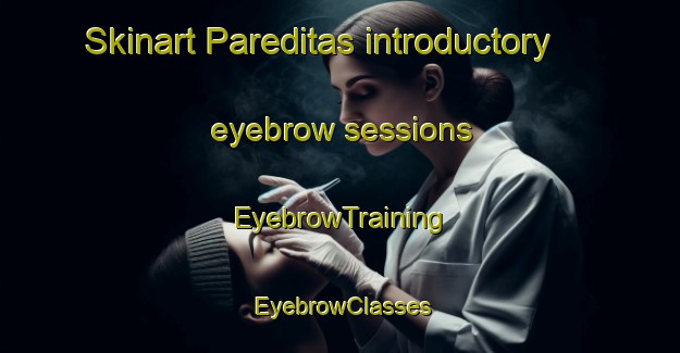 Skinart Pareditas introductory eyebrow sessions | EyebrowTraining | EyebrowClasses | SkinartTraining-Argentina