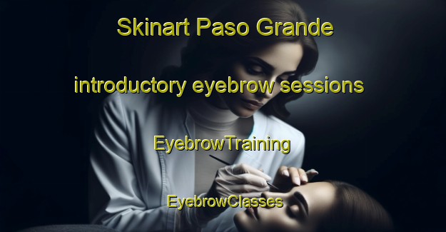 Skinart Paso Grande introductory eyebrow sessions | EyebrowTraining | EyebrowClasses | SkinartTraining-Argentina