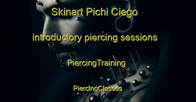 Skinart Pichi Ciego introductory piercing sessions | #PiercingTraining #PiercingClasses #SkinartTraining-Argentina