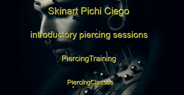 Skinart Pichi Ciego introductory piercing sessions | PiercingTraining | PiercingClasses | SkinartTraining-Argentina