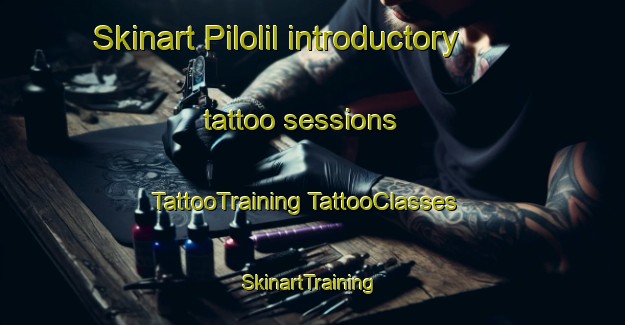 Skinart Pilolil introductory tattoo sessions | #TattooTraining #TattooClasses #SkinartTraining-Argentina