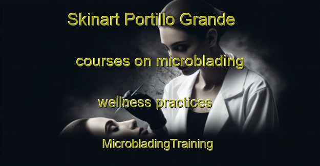 Skinart Portillo Grande courses on microblading wellness practices | #MicrobladingTraining #MicrobladingClasses #SkinartTraining-Argentina