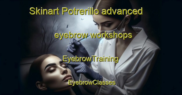 Skinart Potrerillo advanced eyebrow workshops | EyebrowTraining | EyebrowClasses | SkinartTraining-Argentina