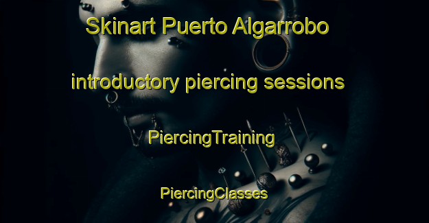 Skinart Puerto Algarrobo introductory piercing sessions | #PiercingTraining #PiercingClasses #SkinartTraining-Argentina