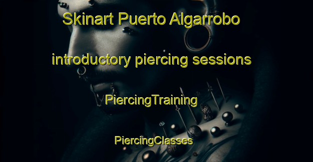 Skinart Puerto Algarrobo introductory piercing sessions | PiercingTraining | PiercingClasses | SkinartTraining-Argentina