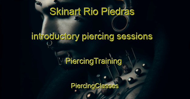 Skinart Rio Piedras introductory piercing sessions | #PiercingTraining #PiercingClasses #SkinartTraining-Argentina