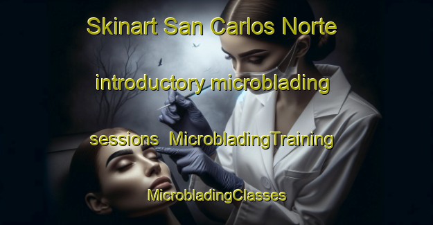 Skinart San Carlos Norte introductory microblading sessions | #MicrobladingTraining #MicrobladingClasses #SkinartTraining-Argentina