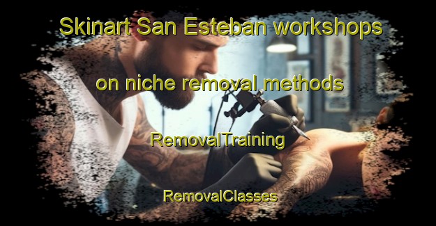 Skinart San Esteban workshops on niche removal methods | RemovalTraining | RemovalClasses | SkinartTraining-Argentina