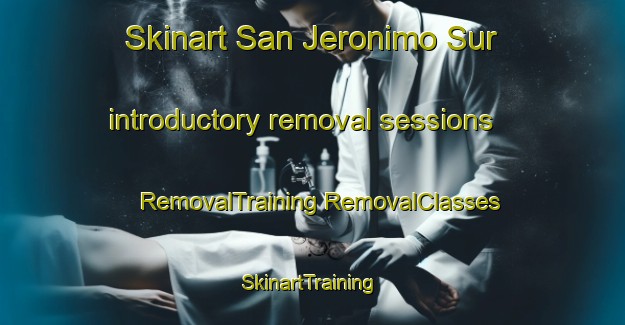 Skinart San Jeronimo Sur introductory removal sessions | #RemovalTraining #RemovalClasses #SkinartTraining-Argentina