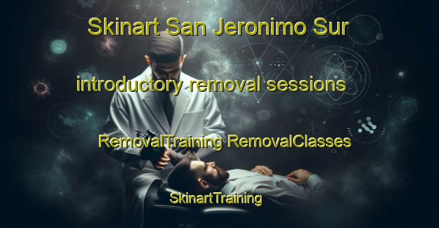 Skinart San Jeronimo Sur introductory removal sessions | #RemovalTraining #RemovalClasses #SkinartTraining-Argentina