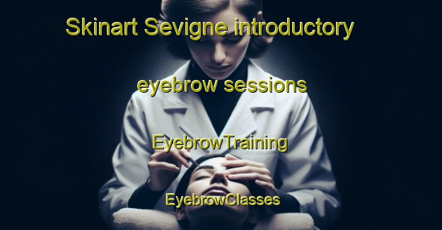 Skinart Sevigne introductory eyebrow sessions | EyebrowTraining | EyebrowClasses | SkinartTraining-Argentina