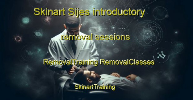 Skinart Sijes introductory removal sessions | #RemovalTraining #RemovalClasses #SkinartTraining-Argentina