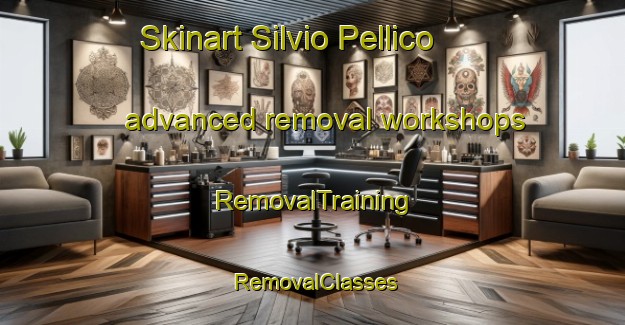 Skinart Silvio Pellico advanced removal workshops | RemovalTraining | RemovalClasses | SkinartTraining-Argentina