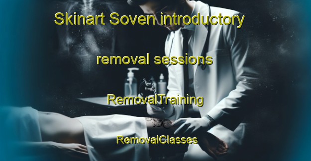 Skinart Soven introductory removal sessions | RemovalTraining | RemovalClasses | SkinartTraining-Argentina
