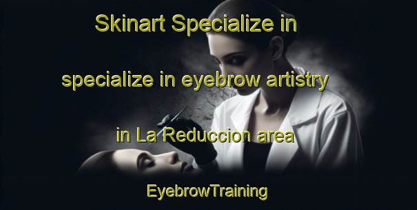 Skinart Specialize in specialize in eyebrow artistry in La Reduccion area | EyebrowTraining | EyebrowClasses | SkinartTraining-Argentina