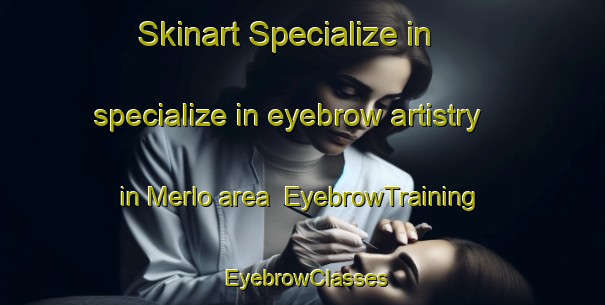 Skinart Specialize in specialize in eyebrow artistry in Merlo area | EyebrowTraining | EyebrowClasses | SkinartTraining-Argentina