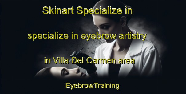 Skinart Specialize in specialize in eyebrow artistry in Villa Del Carmen area | EyebrowTraining | EyebrowClasses | SkinartTraining-Argentina