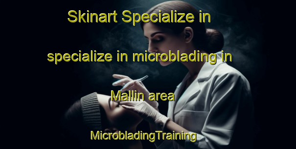 Skinart Specialize in specialize in microblading in Mallin area | MicrobladingTraining | MicrobladingClasses | SkinartTraining-Argentina