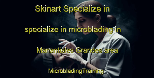 Skinart Specialize in specialize in microblading in Manantiales Grandes area | #MicrobladingTraining #MicrobladingClasses #SkinartTraining-Argentina