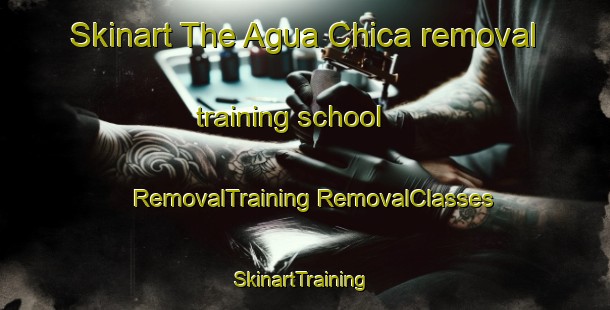 Skinart The Agua Chica removal training school | #RemovalTraining #RemovalClasses #SkinartTraining-Argentina