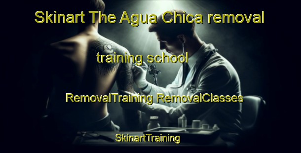 Skinart The Agua Chica removal training school | #RemovalTraining #RemovalClasses #SkinartTraining-Argentina