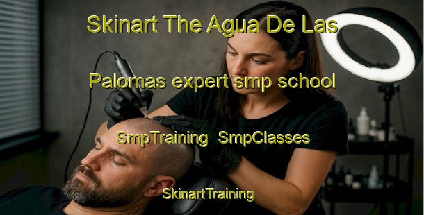 Skinart The Agua De Las Palomas expert smp school | SmpTraining | SmpClasses | SkinartTraining-Argentina