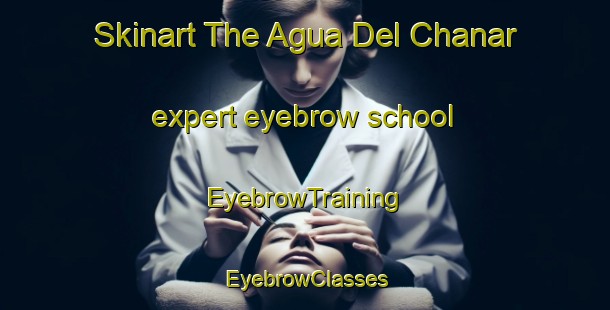 Skinart The Agua Del Chanar expert eyebrow school | EyebrowTraining | EyebrowClasses | SkinartTraining-Argentina