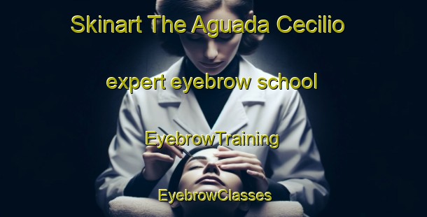Skinart The Aguada Cecilio expert eyebrow school | EyebrowTraining | EyebrowClasses | SkinartTraining-Argentina