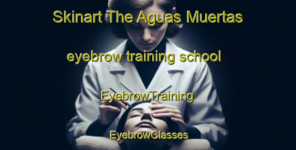 Skinart The Aguas Muertas eyebrow training school | EyebrowTraining | EyebrowClasses | SkinartTraining-Argentina