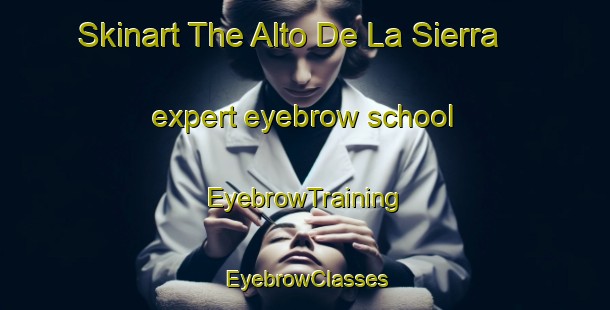 Skinart The Alto De La Sierra expert eyebrow school | EyebrowTraining | EyebrowClasses | SkinartTraining-Argentina