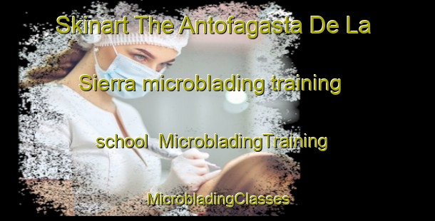 Skinart The Antofagasta De La Sierra microblading training school | #MicrobladingTraining #MicrobladingClasses #SkinartTraining-Argentina