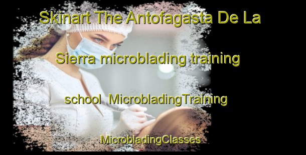 Skinart The Antofagasta De La Sierra microblading training school | MicrobladingTraining | MicrobladingClasses | SkinartTraining-Argentina
