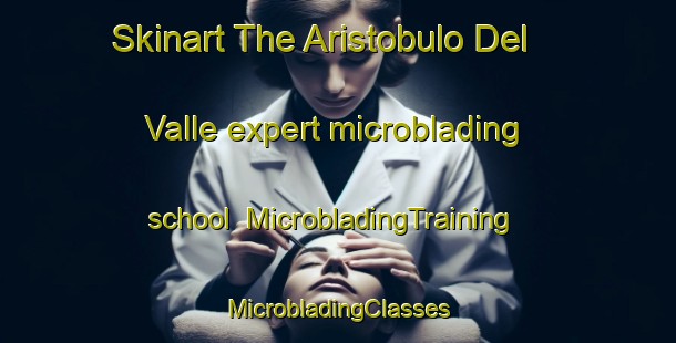 Skinart The Aristobulo Del Valle expert microblading school | #MicrobladingTraining #MicrobladingClasses #SkinartTraining-Argentina