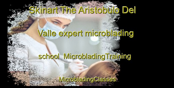 Skinart The Aristobulo Del Valle expert microblading school | #MicrobladingTraining #MicrobladingClasses #SkinartTraining-Argentina