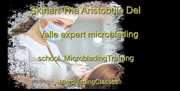Skinart The Aristobulo Del Valle expert microblading school | MicrobladingTraining | MicrobladingClasses | SkinartTraining-Argentina