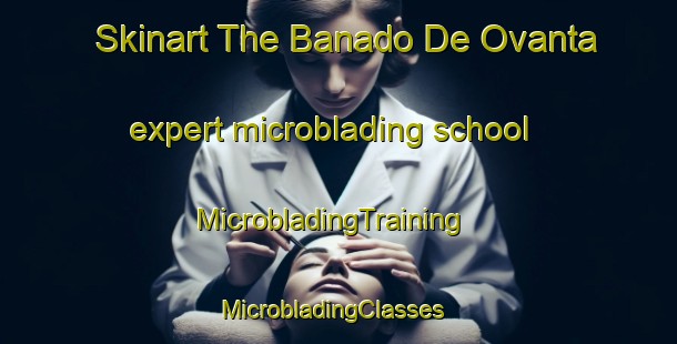 Skinart The Banado De Ovanta expert microblading school | MicrobladingTraining | MicrobladingClasses | SkinartTraining-Argentina