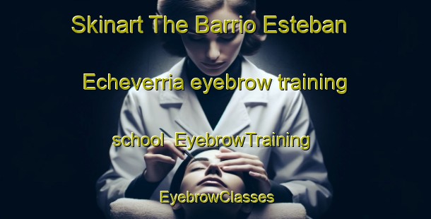 Skinart The Barrio Esteban Echeverria eyebrow training school | EyebrowTraining | EyebrowClasses | SkinartTraining-Argentina