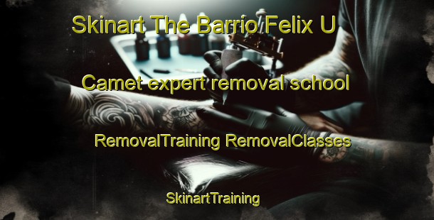 Skinart The Barrio Felix U Camet expert removal school | #RemovalTraining #RemovalClasses #SkinartTraining-Argentina