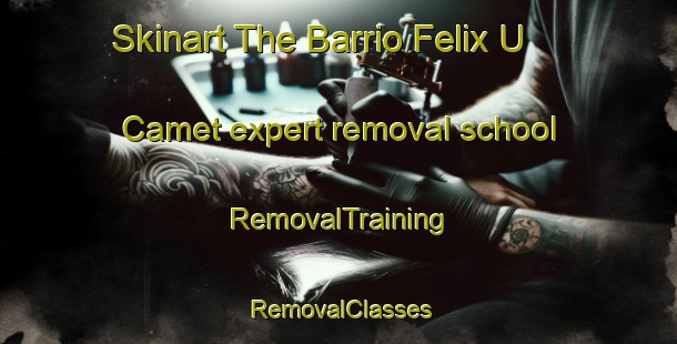 Skinart The Barrio Felix U Camet expert removal school | RemovalTraining | RemovalClasses | SkinartTraining-Argentina