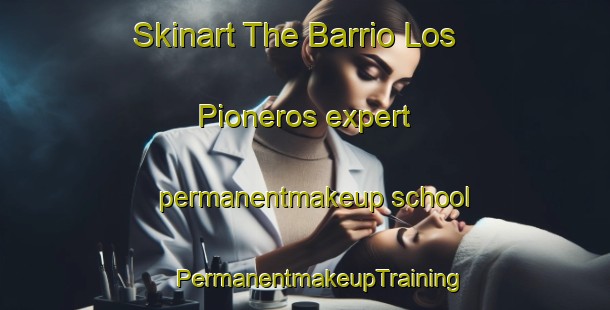 Skinart The Barrio Los Pioneros expert permanentmakeup school | #PermanentmakeupTraining #PermanentmakeupClasses #SkinartTraining-Argentina